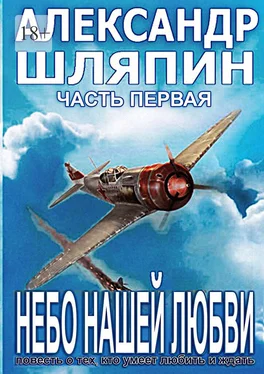 Александр Шляпин Небо нашей любви. Часть первая обложка книги