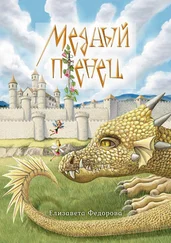 Елизавета Федорова - Медный птенец