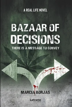 Marcia Borjas Bazaar of decisions обложка книги