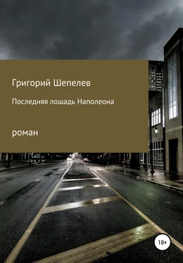 Григорий Шепелев Последняя лошадь Наполеона обложка книги