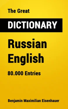 Benjamin Maximilian Eisenhauer The Great Dictionary Russian - English обложка книги