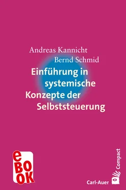 Andreas Kannicht Einführung in systemische Konzepte der Selbststeuerung обложка книги