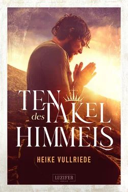 Heike Vullriede TENTAKEL DES HIMMELS обложка книги