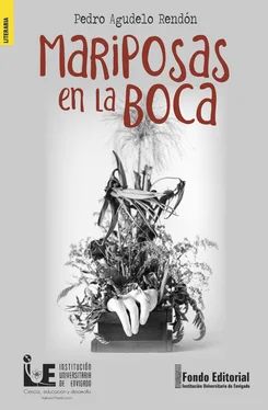 Pedro Agudelo Rendón Mariposas en la boca обложка книги