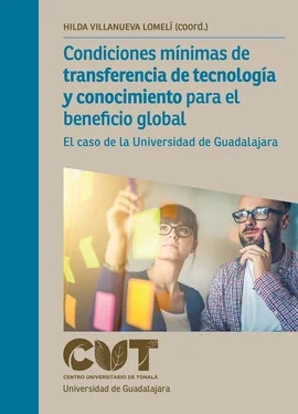 Hilda Villanueva Lomelí Condiciones mínimas de transferencia de tecnología y conocimiento para el beneficio global обложка книги