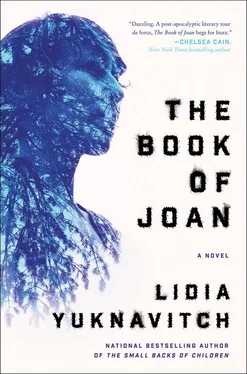 Lidia Yuknavitch The Book of Joan обложка книги