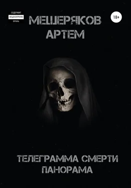 Артем Мещеряков Телеграмма смерти панорама обложка книги