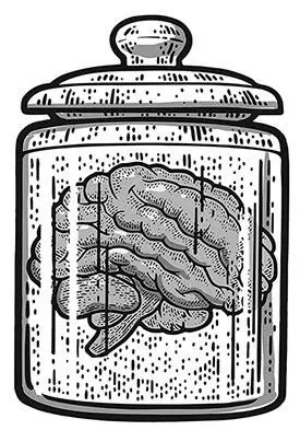 Ключевые области человеческого мозга Введение В 1665 году датский анатом - фото 1