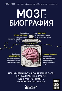 Мэтью Кобб Мозг: биография. Извилистый путь к пониманию того, как работает наш разум, где хранится память и формируются мысли обложка книги