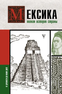 Серхи Терера Мексика. Полная история страны обложка книги