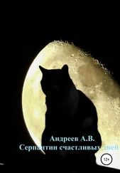 Александр Андреев - Серпантин счастливых дней