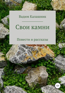 Вадим Калашник Свои камни обложка книги