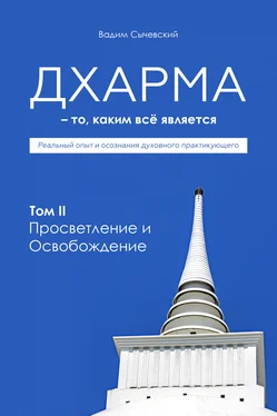 Вадим Сычевский Дхарма – То, каким всё является. Том 2. Просветление и Освобождение обложка книги