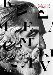 Ольга Хейфиц - Камера смысла