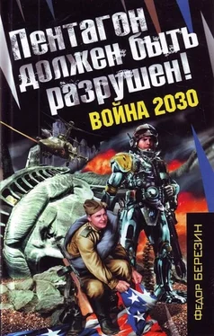 Федор Березин Пентагон должен быть разрушен! обложка книги