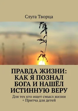 Слуга Творца Правда жизни: как я познал Бога и нашёл истинную веру. Для тех кто ищет смысл жизни + Притча для детей обложка книги