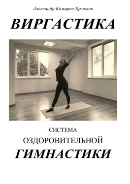 Александр Комаров-Ермолов Виргастика. Система оздоровительной гимнастики обложка книги