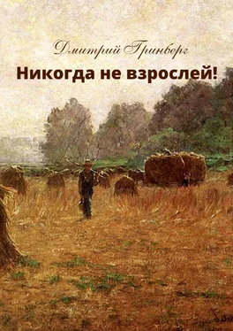 Дмитрий Гринберг Никогда не взрослей! История первая обложка книги