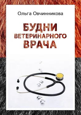 Ольга Овчинникова Будни ветеринарного врача. Издание 2-е, исправленное и дополненное обложка книги