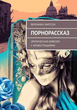 Вероника Ларссон Порнорассказ. Эротическая новелла с иллюстрациями обложка книги