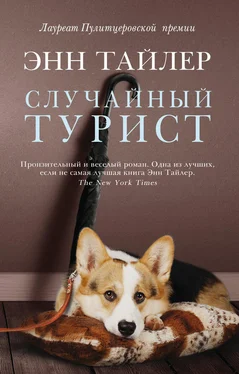 Энн Тайлер Случайный турист обложка книги