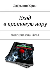 Юрий Добрынин - Вход в кротовую нору. Космическая опера. Часть 1