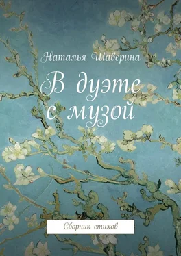 Наталья Шаверина В дуэте с музой. Сборник стихов обложка книги