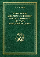 Максим Плющ - Комментарии к поэмам А. С. Пушкина «Руслан и Людмила», «Полтава» и «Медный всадник»