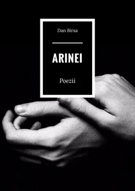 Dan Birsa Arinei. Poezii обложка книги