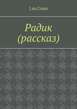 l.m.Conn Радик (рассказ) обложка книги