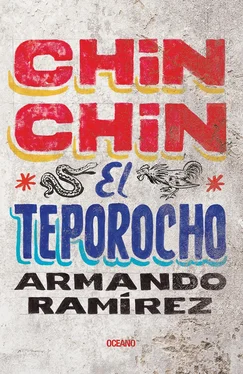 Armando Ramírez Chin Chin el teporocho обложка книги