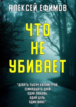 Алексей Ефимов Что не убивает обложка книги