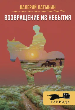 Валерий Латынин Возвращение из небытия (сборник) обложка книги