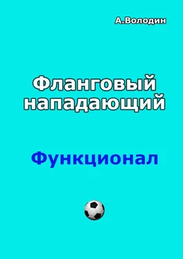 Александр Володин Фланговый нападающий обложка книги