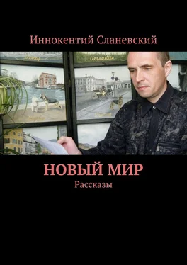 Иннокентий Сланевский Новый мир. Рассказы обложка книги