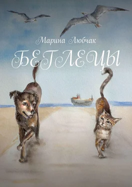 Марина Любчак Беглецы обложка книги