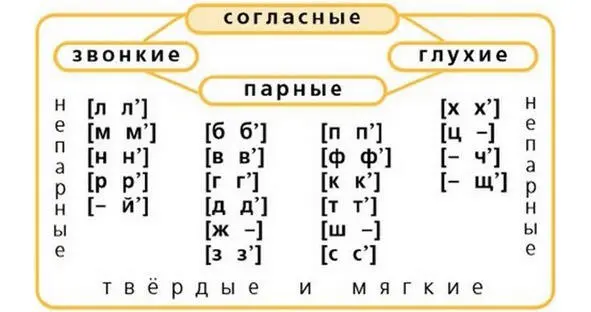Расскажи о согласных звуках пользуясь таблицей Почему согласных звуков - фото 15