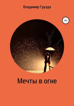 Владимир Грузда Мечты в огне обложка книги