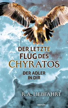 R.A. Liebfahrt Der letzte Flug des Chyratos обложка книги
