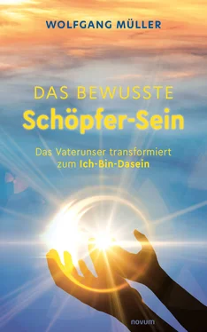Wolfgang Müller Das bewusste Schöpfer-Sein обложка книги