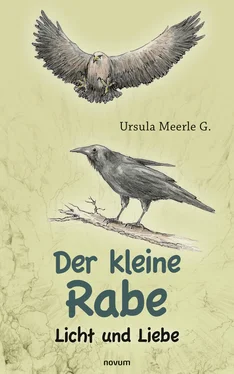 Ursula Meerle G. Der kleine Rabe обложка книги