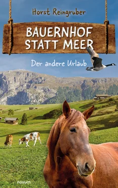 Horst Reingruber Bauernhof statt Meer обложка книги
