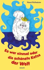 Henni Hofmeister - Es war einmal oder die schönste Katze der Welt