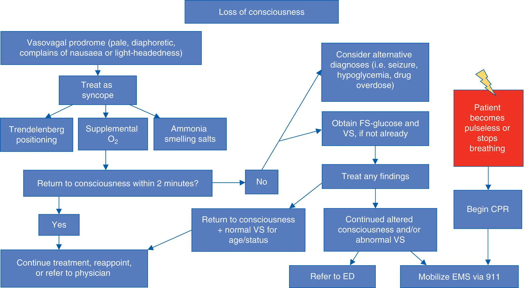 Algorithm 12 Loss of Consciousness without Vasovagal Prodrome - фото 2