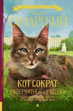 Михаил Самарский Кот Сократ. Невероятные истории обложка книги