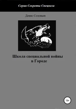 Денис Соловьев Школа специальной войны в Городе обложка книги