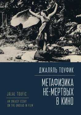 Джаляль Тоуфик Метафизика не-мертвых в кино обложка книги