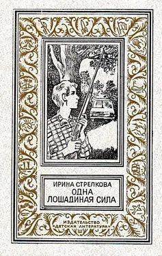 Ирина Стрелкова Одна лошадиная сила. Повести обложка книги