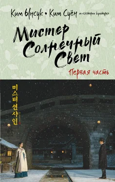 Ким Ынсук Мистер Солнечный Cвет. Первая часть обложка книги