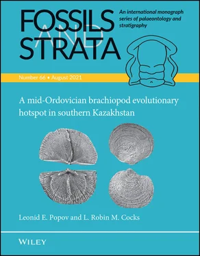 Leonid E. Popov A Mid-Ordovician Brachiopod Evolutionary Hotspot in Southern Kazakhstan обложка книги